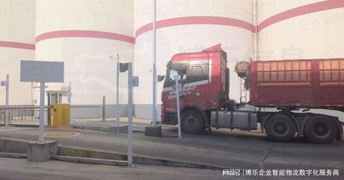 食品粮油仓储出入库管理系统解决方案 聚焦粮油中转仓储的高效与安全